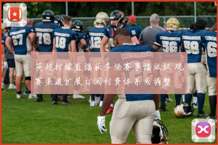 英超柠檬直播获多场赛事播放权 观赛渠道扩展订阅付费体系或调整