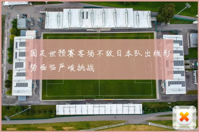 国足世预赛客场不敌日本队出线形势面临严峻挑战