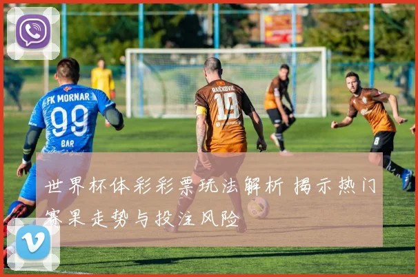 世界杯体彩彩票玩法解析 揭示热门赛果走势与投注风险