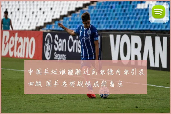 中国乒坛谁能胜过瓦尔德内尔引发回顾 国乒名将战绩成新看点