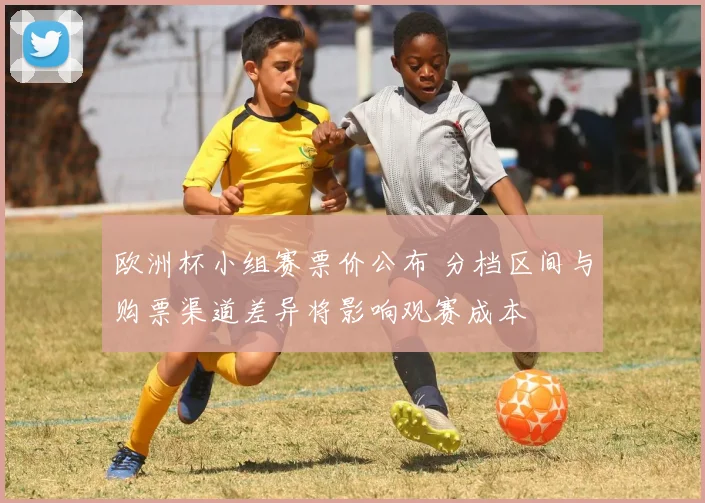 欧洲杯小组赛票价公布 分档区间与购票渠道差异将影响观赛成本