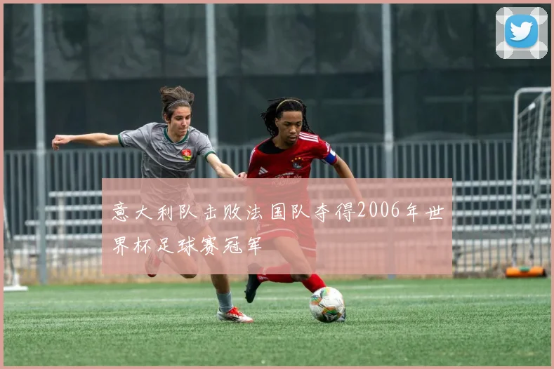 意大利队击败法国队夺得2006年世界杯足球赛冠军