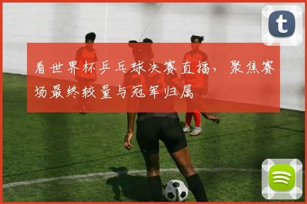 看世界杯乒乓球决赛直播,聚焦赛场最终较量与冠军归属