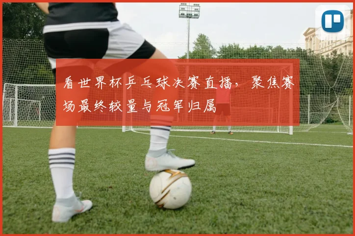 看世界杯乒乓球决赛直播,聚焦赛场最终较量与冠军归属