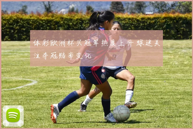 体彩欧洲杯买冠军热度上升 球迷关注夺冠赔率变化